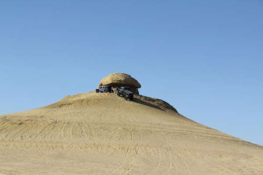 fayoum oasis Tour