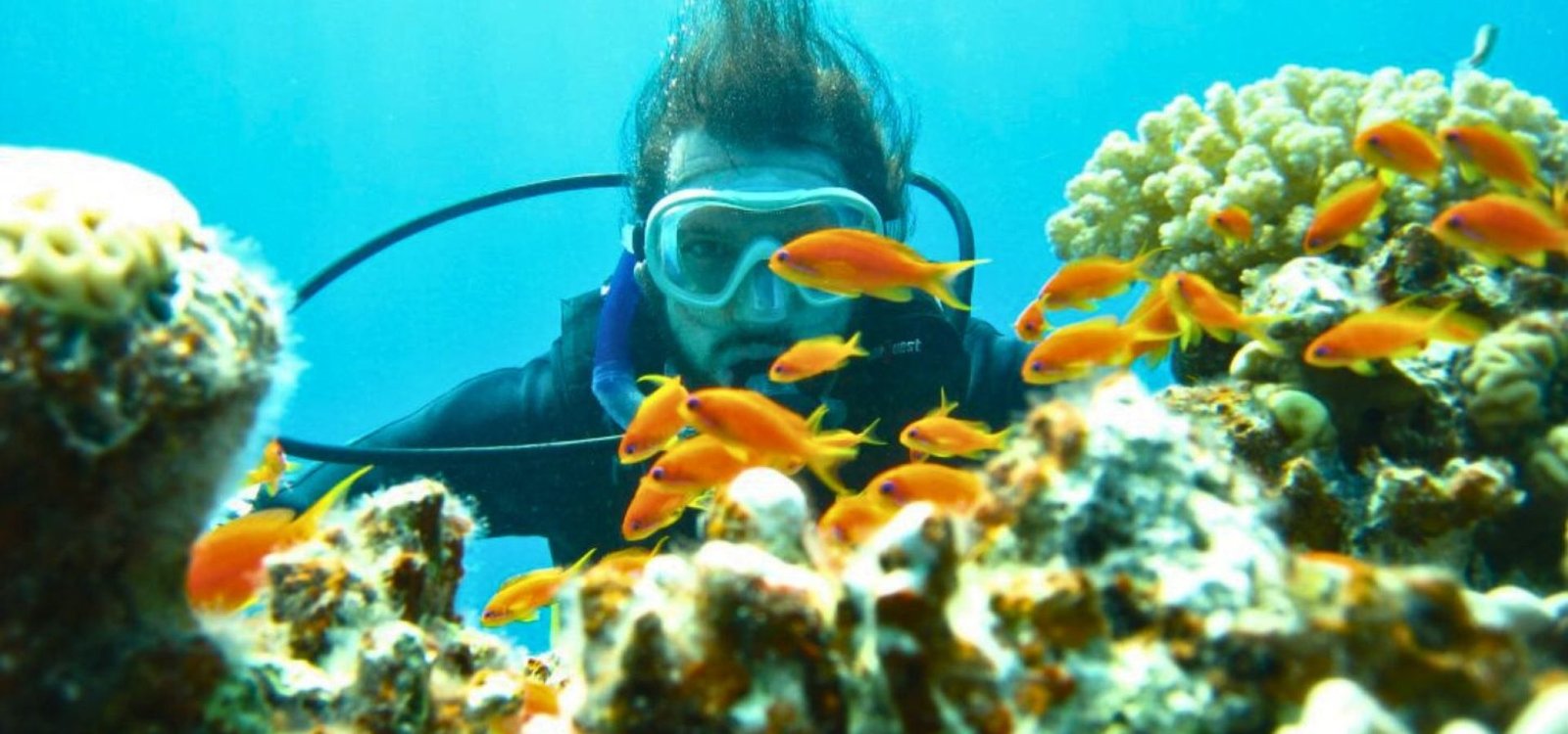 Diving in the Red Sea