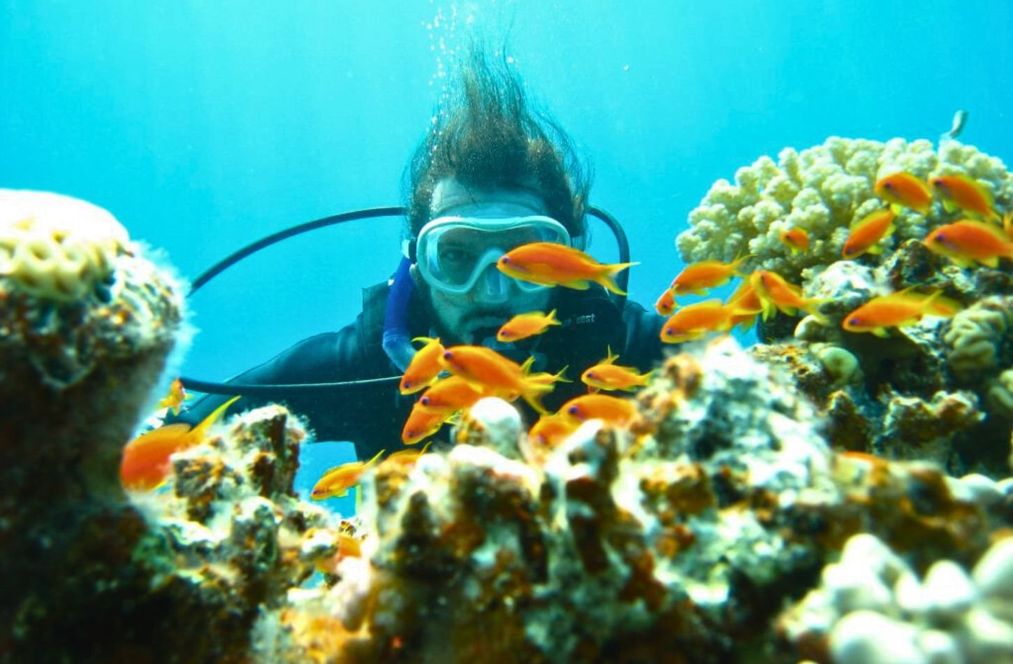 Diving in the Red Sea
