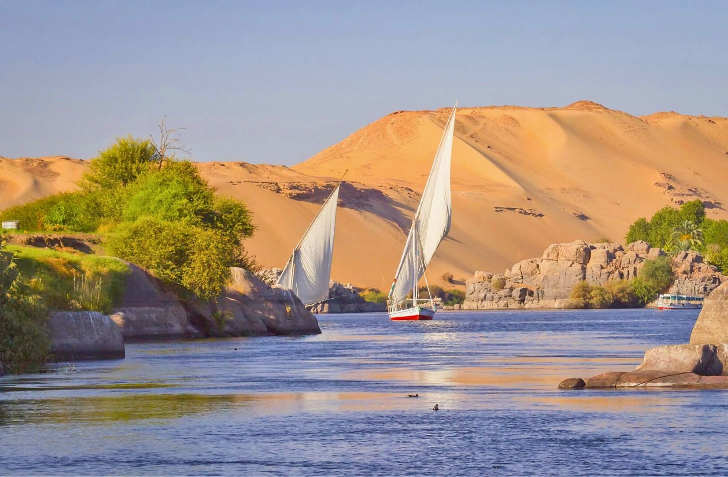 traditional felucca sailing nile river in egyp